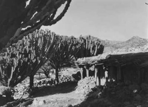 Hütte : Hütte in einer Siedlung