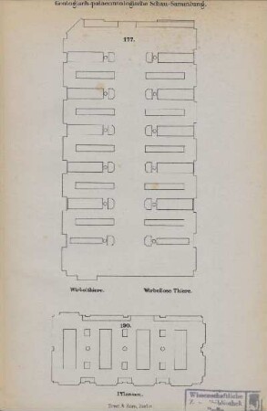 Geologisch-palaeontologische Schau-Sammlung. 177. Wirbelthiere. Wirbellose Thiere ; 190. Pflanzen