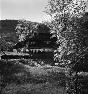 Schwarzwaldhaus im Frühling