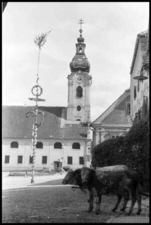 Hartberg: Marktplatz mit Ochsen