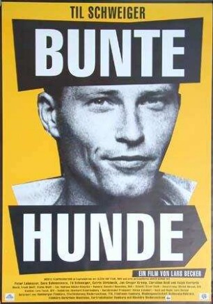 Bunte Hunde