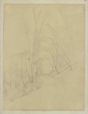 Waldweg