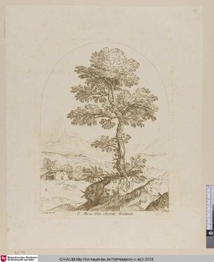 [Landschaft mit einem großen Baum im Vordergrunde.]