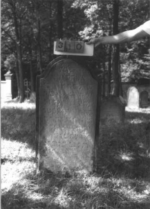 Grabstein 310 (Index: 99609947) Material: Sandstein Zustand: stark verwittert, teilweise Textverlust Maße HxBxT: 120x58x10 cm Beschreibung: Stele, Konvexbogenabschluß, Schriftfeld erhaben: Grabstein 310