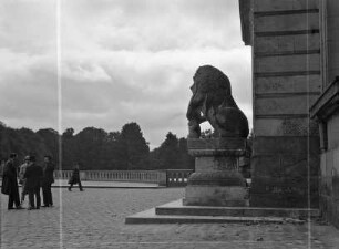 Löwe, rechts des Eingangs