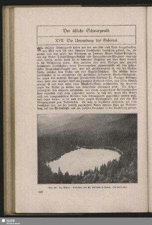 XVII. Die Umrandung des Gebietes