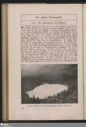 XVII. Die Umrandung des Gebietes