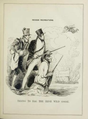 Trying to bag the Irish wild goose