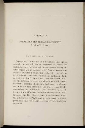 Capitolo IX. Parallelo Fra Molluschi, Tunicati E Brachiopodi.
