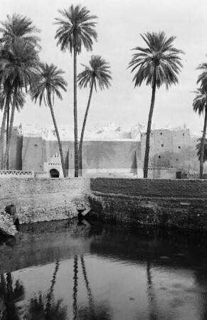 Der alte Brunnen Ain el Fras : Blick in ein Brunnenbecken vor der Stadt Gadames