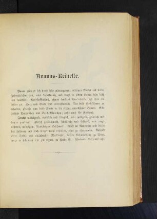 Ananas-Reinette.