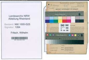 Entnazifizierung Wilhelm Fritsch , geb. 24.02.1891 (Vertreter)