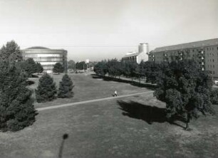 Dresden-Altstadt. Ammonstraße. Blick von der Brückenauffahrt Budapester Straße über Grünfläche nach Nordnordwest gegen Bürogebäude "Ammonhof"