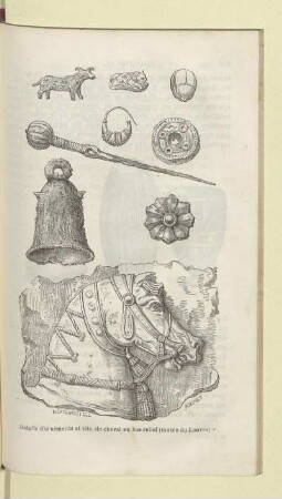 Détails d'ornements et tête de cheval en bas relief (musée du Louvre)