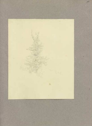 Klebebände, Band 13, Seite 93