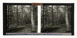 Schachthalden und -pingen der auf einem Stollen stehenden Lichtlöcher mit Erzabfuhrweg, Kellerwald, südliches Waldeck