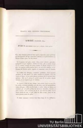 Traité des arbres fruitiers. Amiré joannet.Duh. Pyrus secundaria, fructu parvo, turbinato, citrino, praecoci.