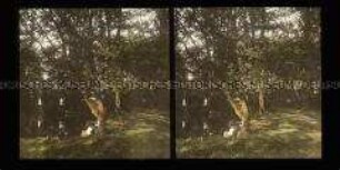 Besucher im Park am Schloss Klitschdorf bei Wehrau