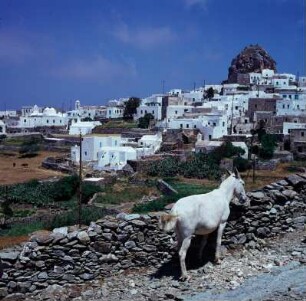 Amorgos. Chora im Mittagslicht