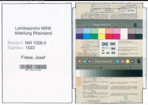 Entnazifizierung Josef Friese , geb. 14.02.1909 (Sattler)