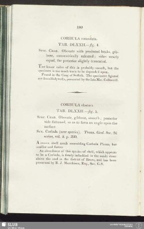 Corbula obscura. Tab. DLXXII.—fig. 5