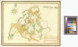 Heidenfelde, Koldevitz, Swiene (Swine, Schwiene) Amt/Distrikt Rügen