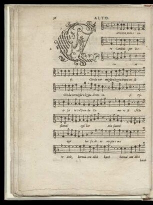 Candide perle e care