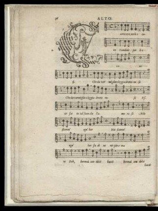 Candide perle e care