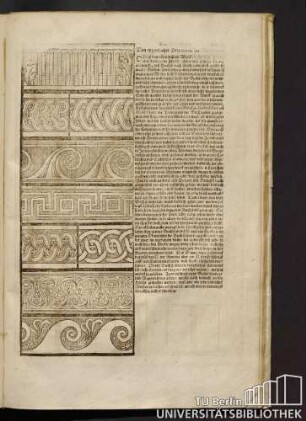 Das XIII. Capitel. Von eygentlicher Proportion der Buchstaben.
