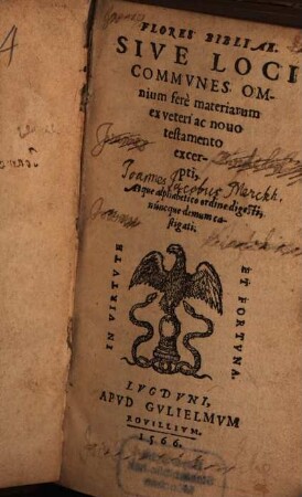 Flores bibliae