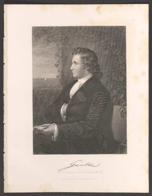 Porträt Johann Wolfgang von Goethe (1749-1832)