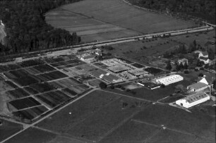 Freiburg: Mundenhof; Städtisches Gartenamt, Anzuchtgärten, von Osten kommend