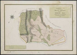 Topographischer Plan über den in dem Oberamt Pforzheim liegenden Ispringer Bann
