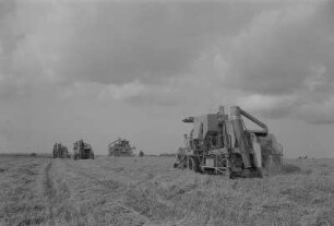 Rambin. Landwirtschaftliche Produktionsgenossenschaft (LPG), Roggenernte