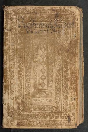 [Hochfürstlich Fuldaisches Vicariat-Buch]