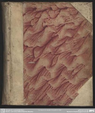 Facultatis Theologicae, In Academia Wittenbergensi, Decanus, Jo. Georgius Neumannus, SS. Theol. D. P. P. Alumn. Electoralium Ephorus, Et Acad. Bibliothecarius, Benevolo Lectori S. P. D. : [P. P. Dom. Laetare, MDCCII.]