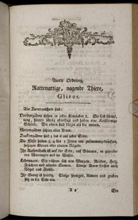 Vierte Ordnung, Rattenartige, nagende Thiere, Glires.