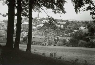 Hartenstein, Stadtansicht : Hartenstein. Stadtansicht mit Stadtkirche vom Schloßberg (von Südosten)