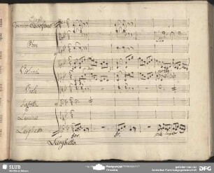 Cavatina: "Crudel tiranno amore"