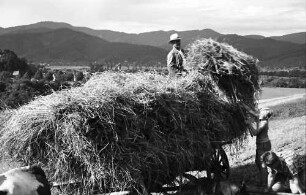 Kappel: Heu aufladen, mit Wagen; Schwarzwald
