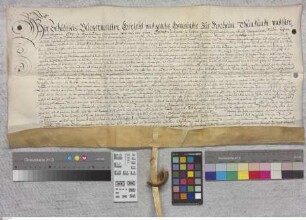 Groß-Rohrheim: Erbleihrevers der Gemeinde Groß-Rohrheim gegen Landgraf Georg II. über das Auerfeld. Inseriert: Erbleihbrief vom gleichen Datum