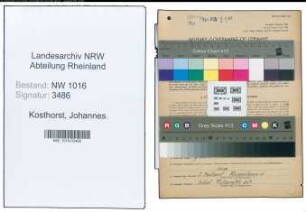Entnazifizierung Johannes Kosthorst , geb. 20.04.1893 (Gaertnermeister)