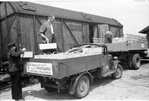 Bühl: Verladen der Zwetschgen in Güterwagen