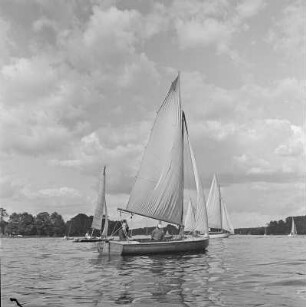 Segelboote auf der Havel