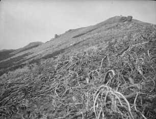 Suzuyayama (heute Pik Chekhova) : Blick zum Gipfel