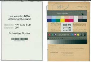 Entnazifizierung Gustav Schweden , geb. 09.08.1896 (Lohnbuchhalter)