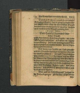 Caput XXXV. Von Todtschlägen und derselben Straffe.