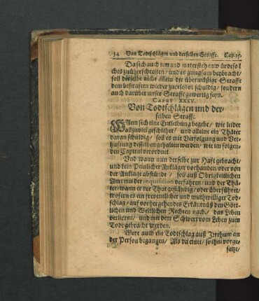 Caput XXXV. Von Todtschlägen und derselben Straffe.