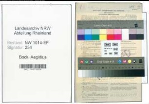 Entnazifizierung Aegidius Bock , geb. 09.11.1904 (Kaufmann)