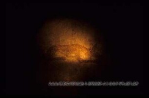 Balat - Ayn Asil